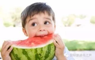 热门大瓜每日必吃大瓜 社会热点的图片,社会热点图片背后的故事